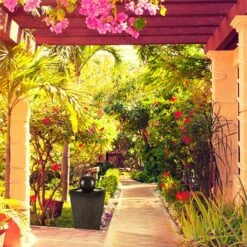 Königsbrunn Solar Springbrunnen 11 Königsbrunn Solar Springbrunnen -Blumfeldt Verkaufsgeschäft 10029040 yy 0004 ambient Blumfeldt Koenigsbrunn Solar Springbrunnen reedit