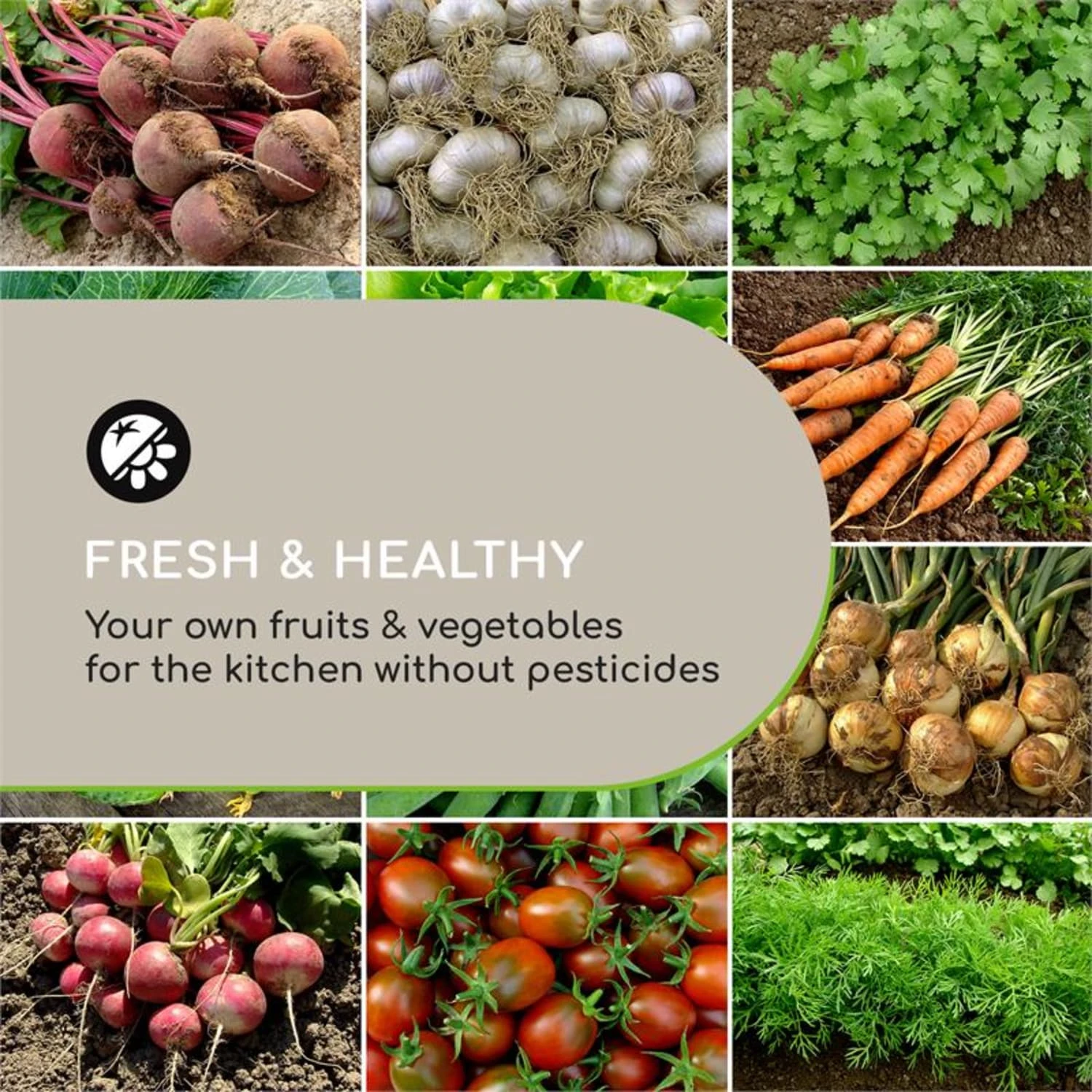 Terrabox 180x90x60 Cm Hochbeet Creme 5 Terrabox 180x90x60 Cm Hochbeet Creme – Bild 3