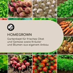[Wiederverpackt] Nova Grow Hochbeet Kunststoff -Blumfeldt Verkaufsgeschäft 10034747 de 0002 logo 1