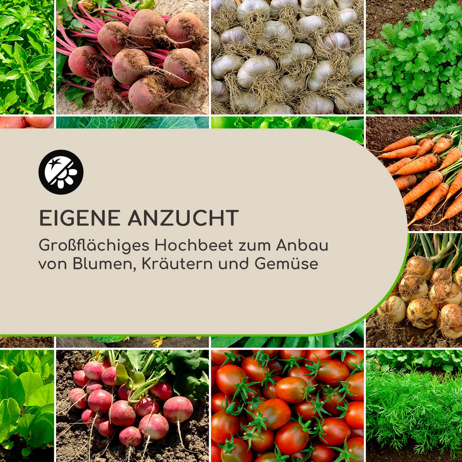 Terrabox 200x100x60 Cm Hochbeet Anthrazit 6 Terrabox 200x100x60 Cm Hochbeet Anthrazit – Bild 4