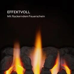 Andora Flame Gasheizofen -Blumfeldt Verkaufsgeschäft 10035407 de 0003 logo 1