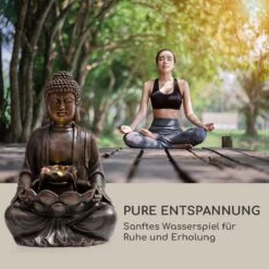 Dharma Solarbrunnen -Blumfeldt Verkaufsgeschäft 10035714 de 0004 logo