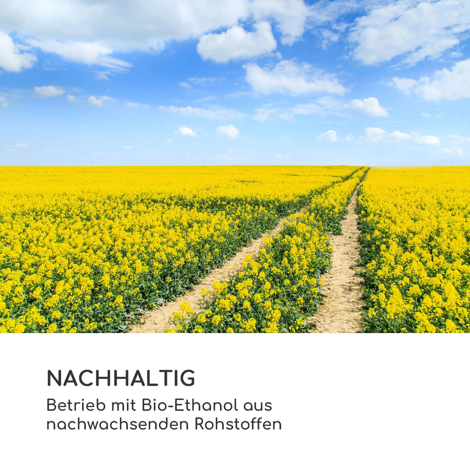 Fiamme Cantal Ethanol-Kamin 11 Fiamme Cantal Ethanol-Kamin – Bild 9