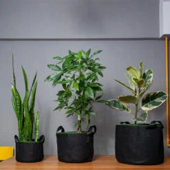 Pflanzsack Set -Blumfeldt Verkaufsgeschäft 10038012 yy 0002 logo