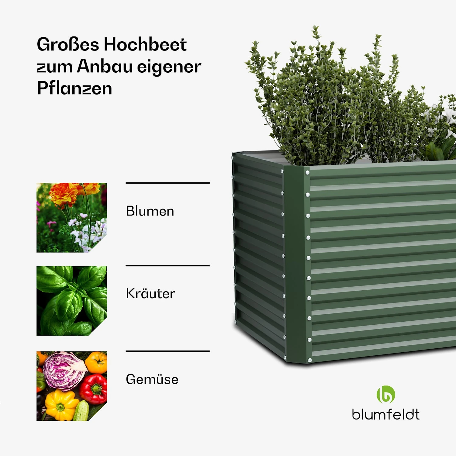 Terrabox 200x100x90 Cm Hochbeet Grün 6 Terrabox 200x100x90 Cm Hochbeet Grün – Bild 4