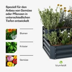 Terrabox 120x90x50 Cm 2 Stufen Hochbeet​ Anthrazit -Blumfeldt Verkaufsgeschäft 10046836 de 0004 usp