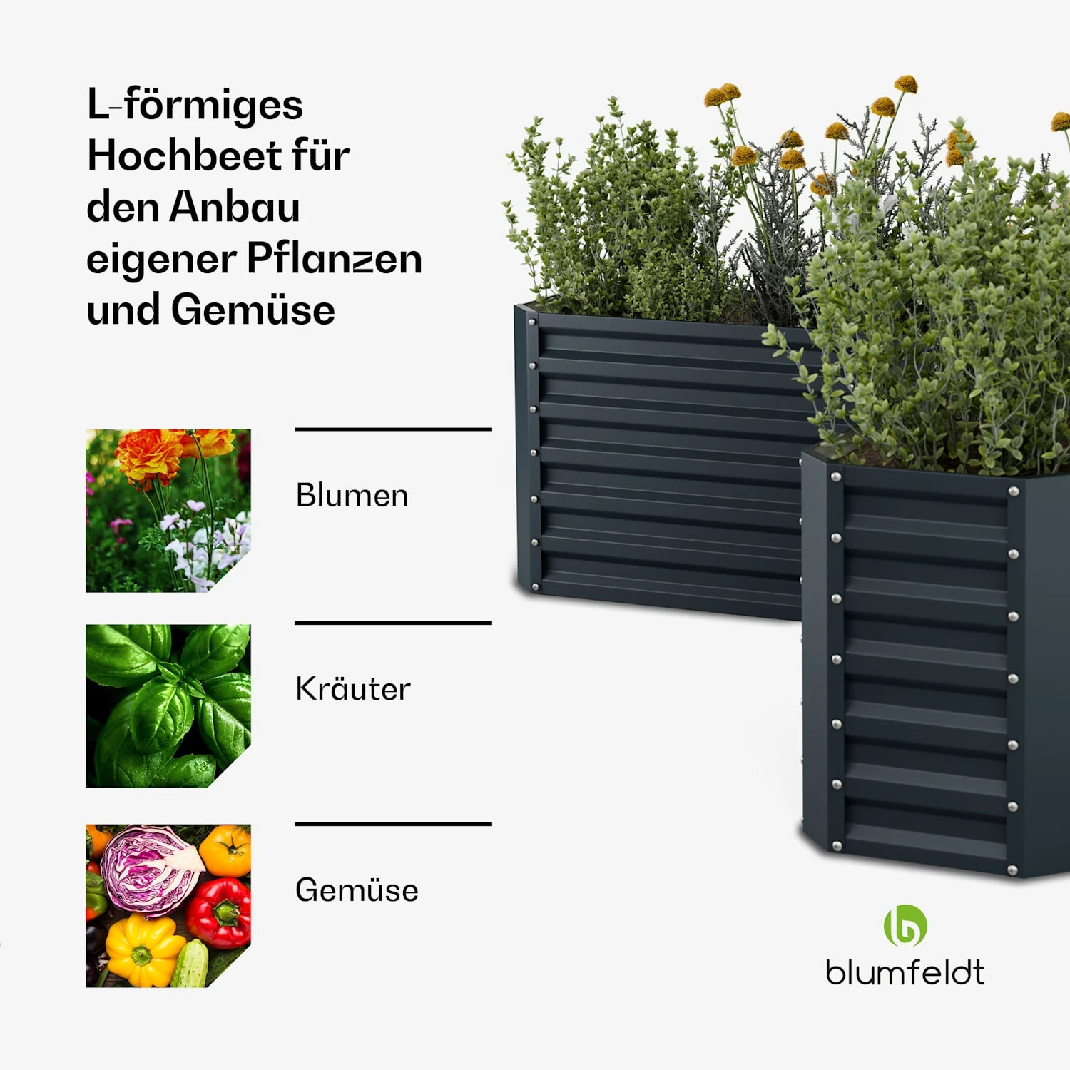Flexgrow 160x160x60 Cm Hochbeet Anthrazit 6 Flexgrow 160x160x60 Cm Hochbeet Anthrazit – Bild 4